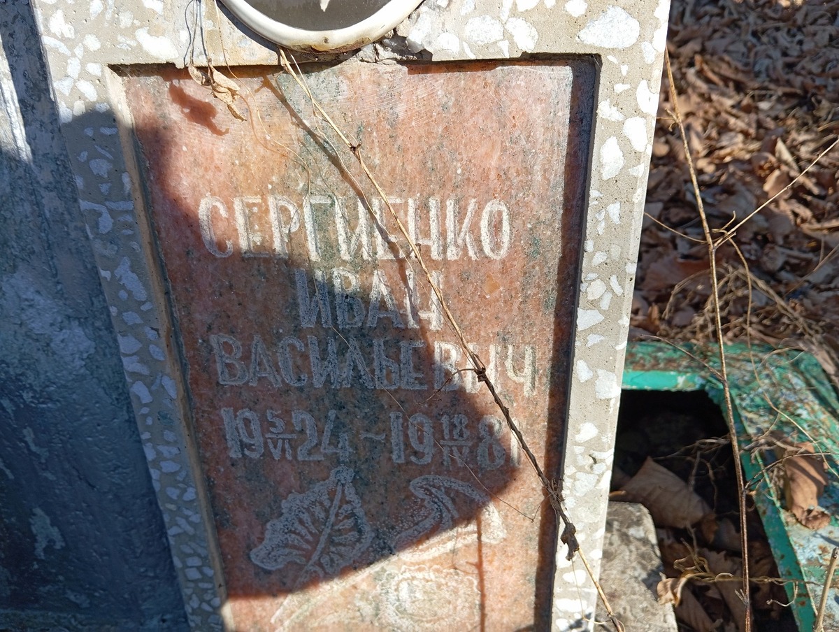 4d7d50dc-ea1b-4c5b-9f00-d9a977239e62 Сергиенко Иван Васильевич
