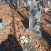 Калинина Вера Андреевна