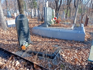 Веденин Юрий Фёдорович