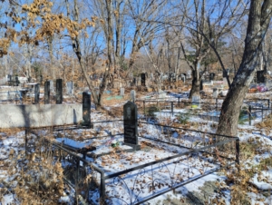 4de52b72-8618-47e7-b0c8-86ebca471d84 Мещеряков Василий Сергеевич