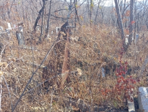 Неизвестно Неизвестно Неизвестно