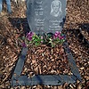 Рослов Михаил Андреевич