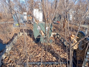 4ef01b30-244b-4645-a55c-503839c4bea4 Шахновская Мария Григорьевна