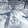 Неизвестно Неизвестно Неизвестно
