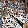 Астафьева Антонина Андреевна