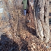 Грибков В В
