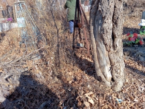 Грибков В В