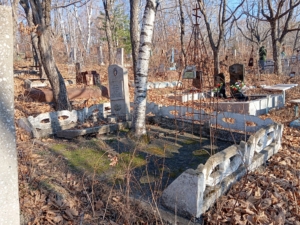 Лыков Тарас Александрович