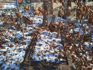 Гончарова Мария Кирилловна