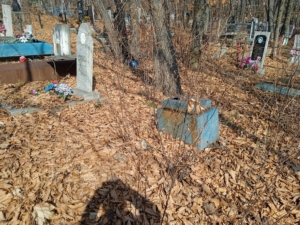 50922e9b-d5a8-485a-bc83-852dafd39f0d Неизвестно Неизвестно Неизвестно