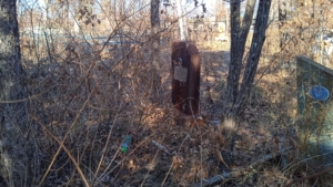 5190915b-eb74-40d9-bcda-369ad479e5ae Неизвестно Неизвестно Неизвестно