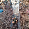 Войтенко Валентина Николаевна