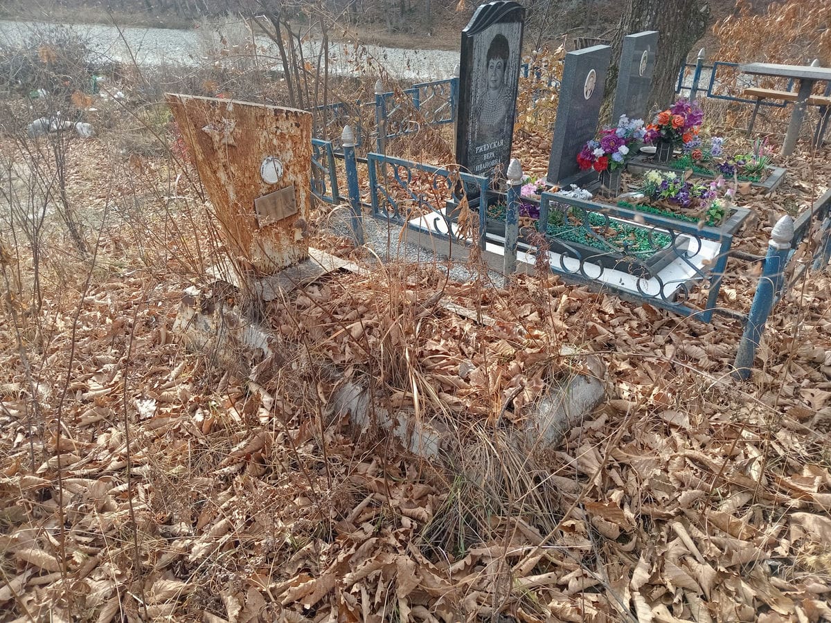 Коршунов Анатолий Александрович