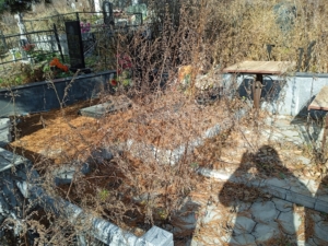 Наркаева Валентина Васильевна