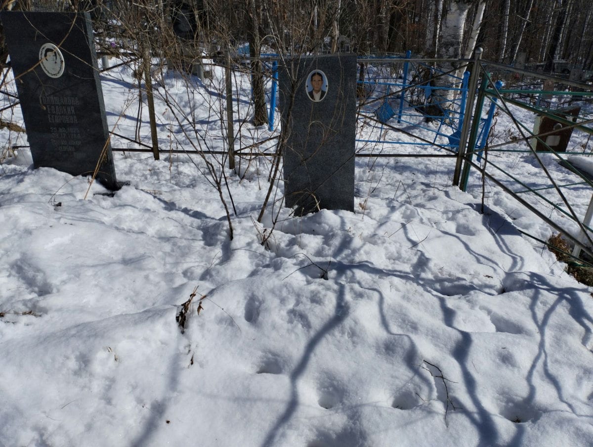 Голошапов Алексей Трофимович