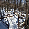 Маскалюк Варвара Константиновна