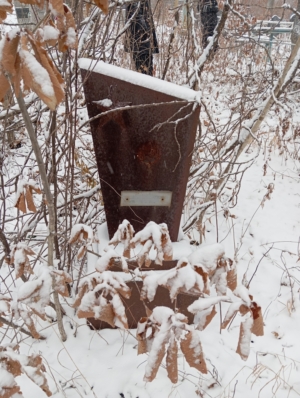 52ae18db-454d-466a-9a58-f0e834843da9 Селедкова Надежда Александровна