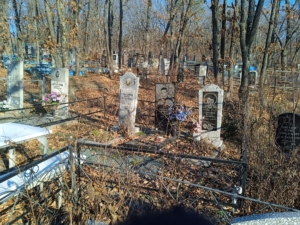 Ларченко Наталья Валентиновна