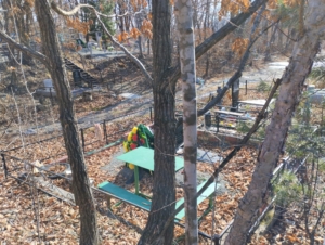 Маслов Александр Яковлевич