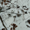 Неизвестно Неизвестно Неизвестно