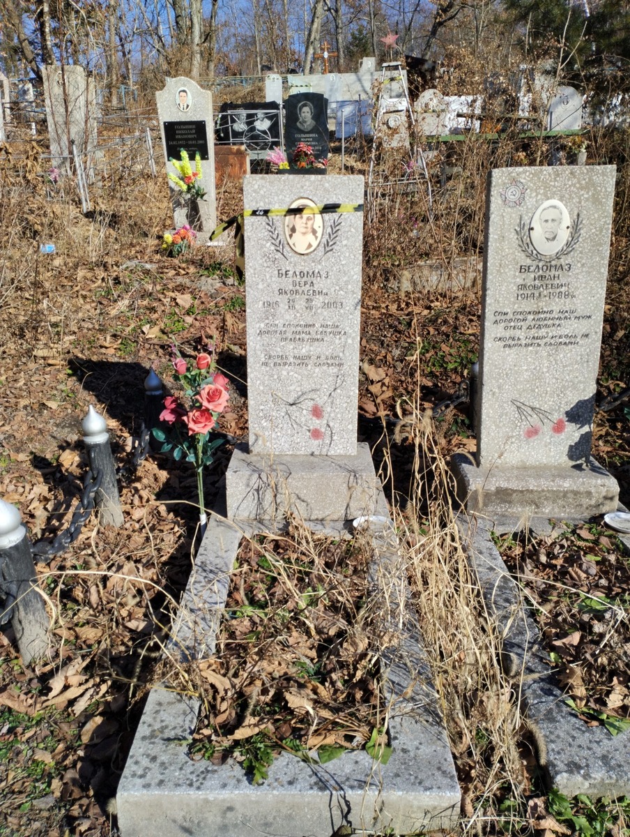 5337e22d-9592-4638-b355-6c92827a0ce4 Беломаз Вера Яковлевна