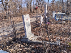 Трутнева Любовь Тимофеевна