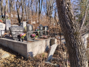 Аланин Евгений Николаевич