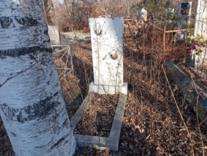 5470feca-ad33-406d-993d-99e0edae4674 Подольный Михаил Яковлевич