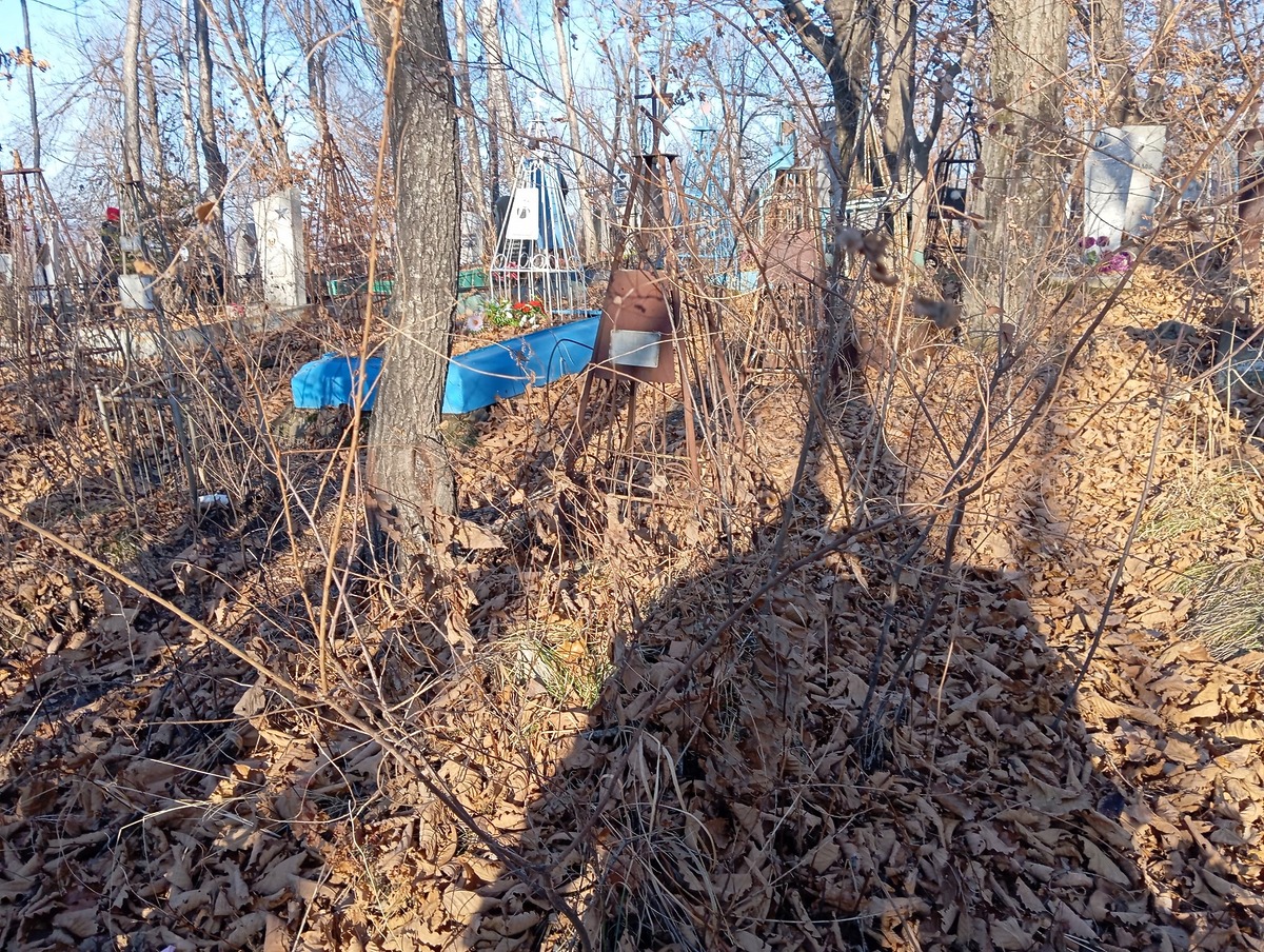 Кривошеева Анна Михайловна