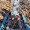 Шеготаров Семен Сергеевич