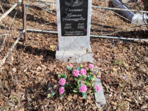 Дьяченко Наталья Александровна