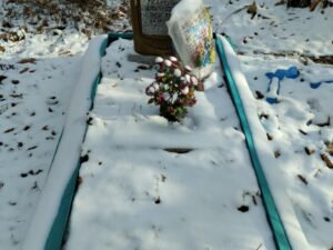 Литвиненко Екатерина Дмитриевна