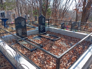 56e7cdff-1f32-4488-b9a6-f888bf46c7c3 Мейта Анна Петровна