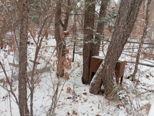 Неизвестно Неизвестно Неизвестно