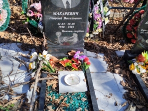 Макаревич Георгий Вамильевич