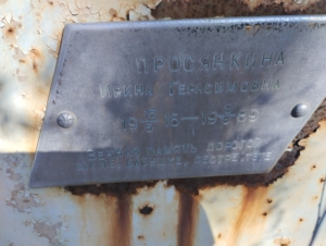 570d215a-c17f-4ffa-98fb-951dfd92af9c Просянкина Ирина Герасимовна