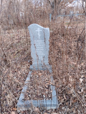 Гайдаш Владимир Васильевич