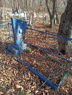 57368ece-f3b4-41b1-a853-a2e78f15ae33 Наконечная Ирина Неизвестно