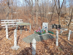 57562650-6eaa-4382-a5c3-8513b3c78150 Жиделев Михаил Владимирович