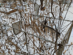 Неизвестно Неизвестно Неизвестно