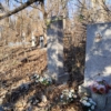 Шарапов Александр Александрович
