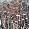 Неизвестно Неизвестно Неизвестно