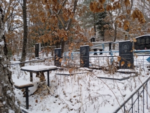 Ефременко Виктор Николаевич