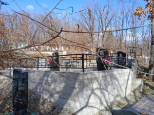 57f5c535-ee03-47f8-99e0-4c97cfdeaeb3 Савельчев Эдуард Николаевич