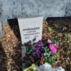 Кривошеев Сергей Николаевич