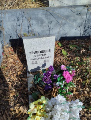 58841252-b3fc-445d-8fa5-469961dd2288 Кривошеев Сергей Николаевич