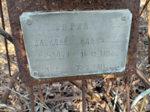 Верин Василий Ильич