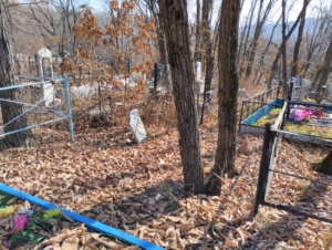 Пестеров Николай Алексеевич