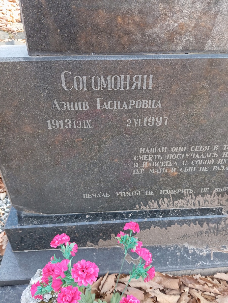 595afd57-326e-403a-b429-08aca9204198 Согомонян Азнив Гаспаровна