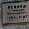 Лейниш Геннадий Михайлович